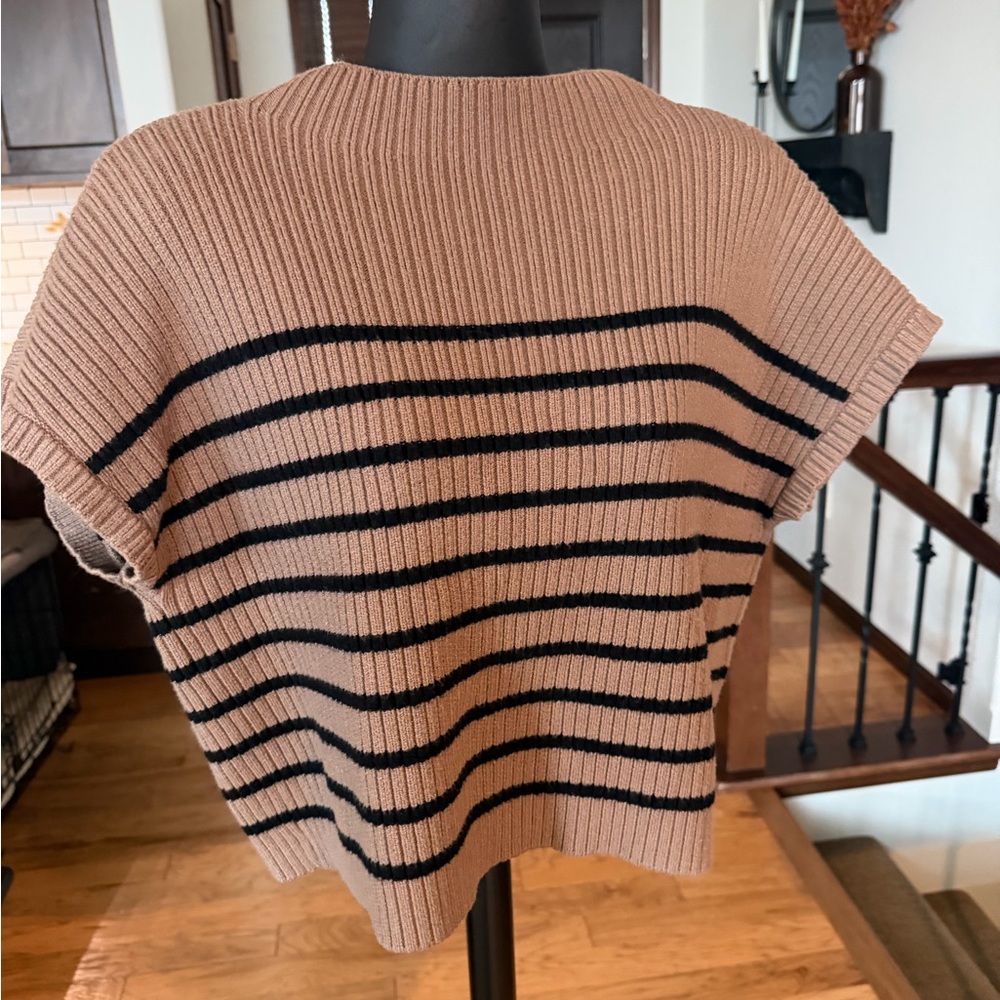 Blu Pepper Tan and Black Striped Sweater